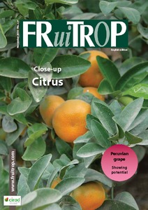 Magazine's thumb Magazine FruiTrop n°227 (dimanche 30 novembre 2014)
